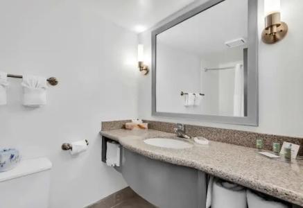 Best Western Orlando Gateway - 16