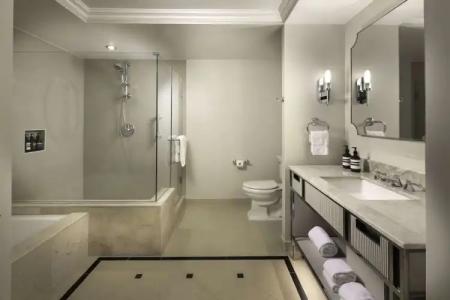 Waldorf Astoria - 100