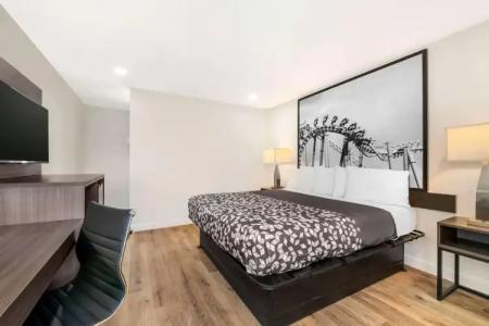 Super 8 by Wyndham Orlando Near Florida Mall - 25