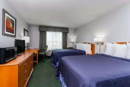 Super 8 by Wyndham Orlando Near Florida Mall - 36