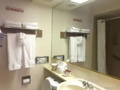 Anaheim Discovery Inn and Suites - 9