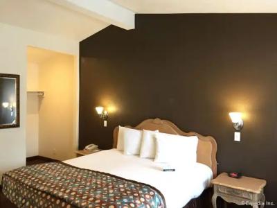 Anaheim Discovery Inn and Suites - 2