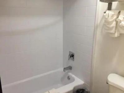 Iris - San Diego - 69