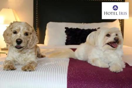 Iris - San Diego - 67