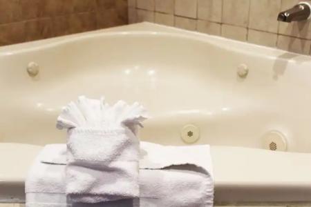 Iris - San Diego - 85