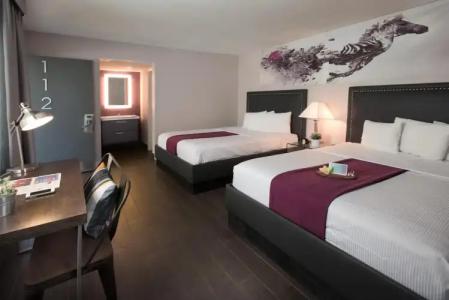 Iris - San Diego - 46