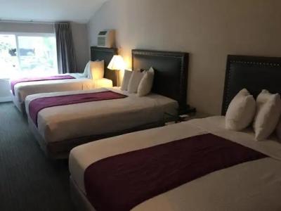 Iris - San Diego - 73