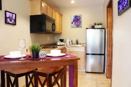 Iris - San Diego - 3