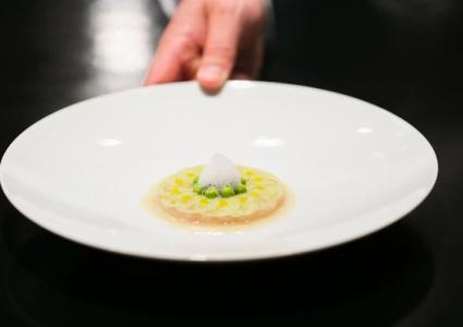 The Villas at The Grand Del Mar - 13