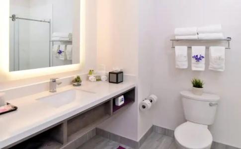 Holiday Inn Express San Diego Mission Valley - 4