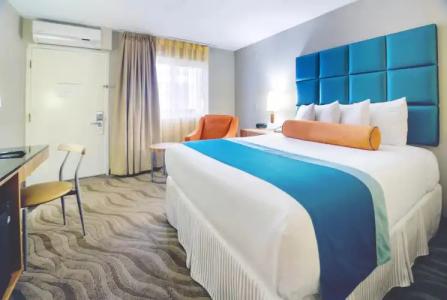 Porto Vista in Little Italy - 4