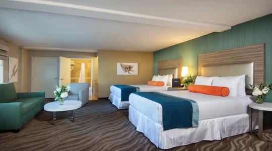 Porto Vista in Little Italy - 72