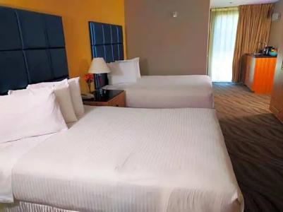 Porto Vista in Little Italy - 42