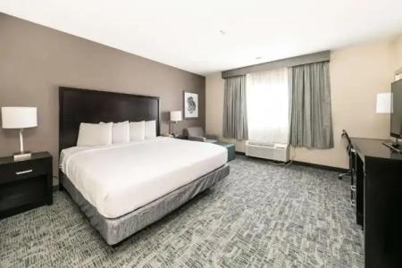 Best Western Inn & Suites San Diego – Zoo/SeaWorld Area - 33