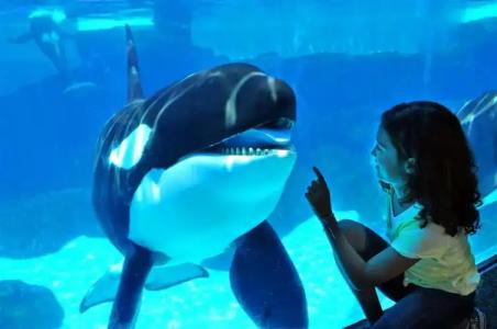 The Westin San Diego Gaslamp Quarter - 27