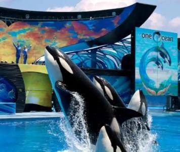 GreenTree Inn San Diego Mission Bay - 10