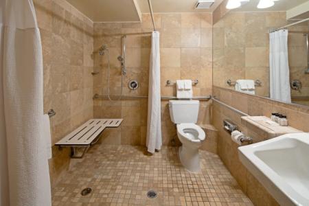 Crowne Plaza SAN DIEGO - MISSION VALLEY by IHG - 9