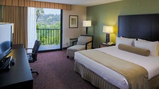 Crowne Plaza SAN DIEGO - MISSION VALLEY by IHG - 30