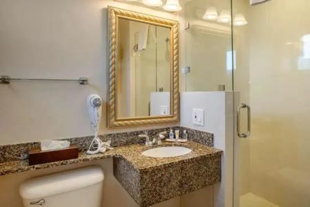 Comfort Inn San Diego Airport at the Harbor - 9