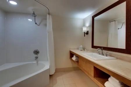 Tropicana a DoubleTree by Hilton and Resort - 63