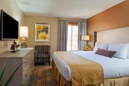 Holiday Inn Club Vacations AT DESERT CLUB RESORT by IHG - 2