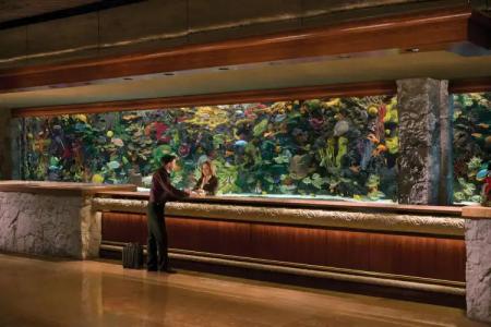 The Mirage & Casino - 39