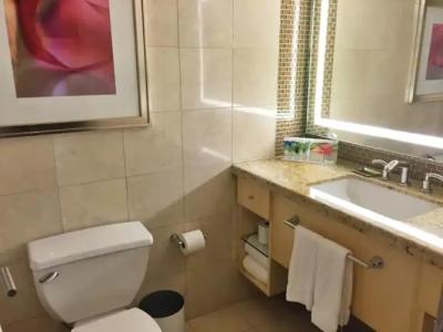 The Mirage & Casino - 9