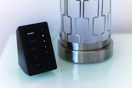 The Mirage & Casino - 52