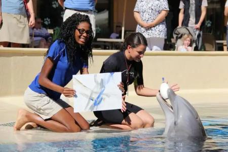 The Mirage & Casino - 40