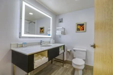 Hampton Inn Tropicana - 51