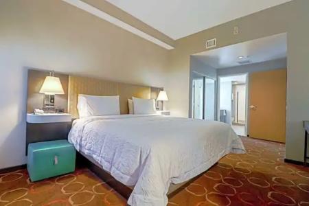 Hampton Inn Tropicana - 69