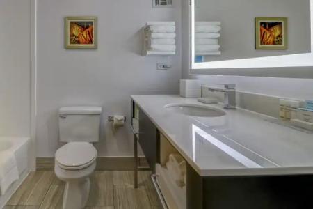 Hampton Inn Tropicana - 49