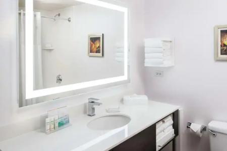 Hampton Inn Tropicana - 7