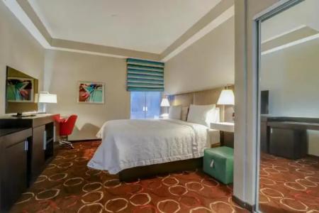 Hampton Inn Tropicana - 60