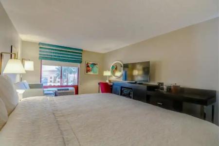 Hampton Inn Tropicana - 67