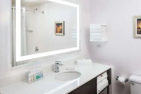 Hampton Inn Tropicana - 50