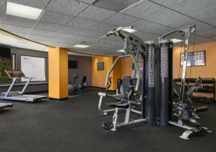 Gold Coast and Casino - 18