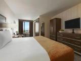 Deluxe Accessible Double room
