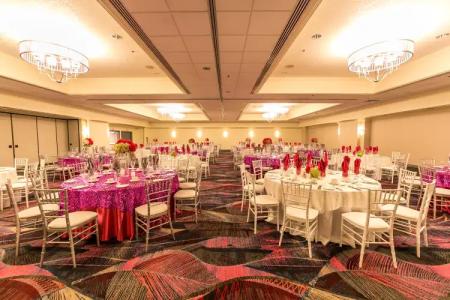 Flamingo Las Vegas & Casino - 32