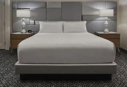 Flamingo Las Vegas & Casino - 13