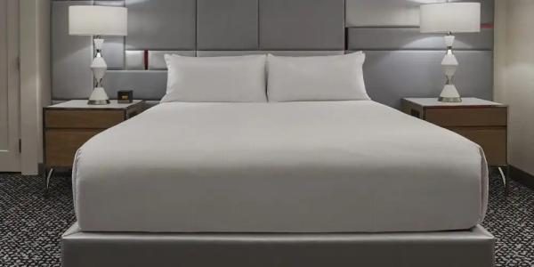 Flamingo Las Vegas & Casino - 70