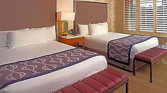 California and Casino - 44