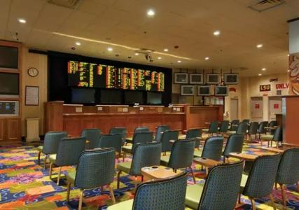 California and Casino - 17