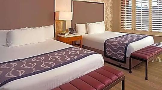 California and Casino - 37