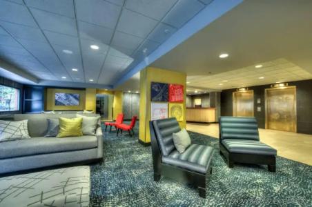 Staypineapple, Five, Downtown - 1