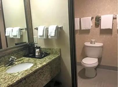 Executive Inn by the Space Needle - 29
