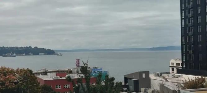 Ace Seattle - 14