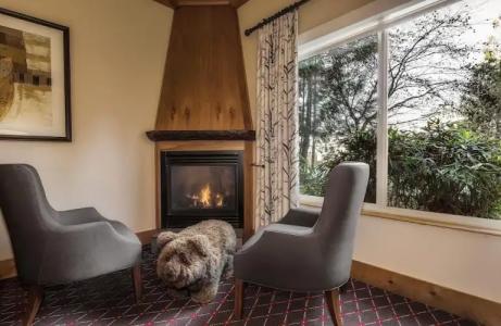 The Edgewater, a Noble House - 40