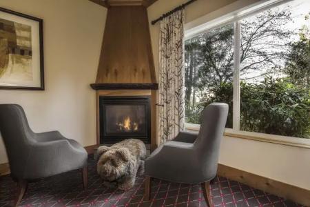 The Edgewater, a Noble House - 10