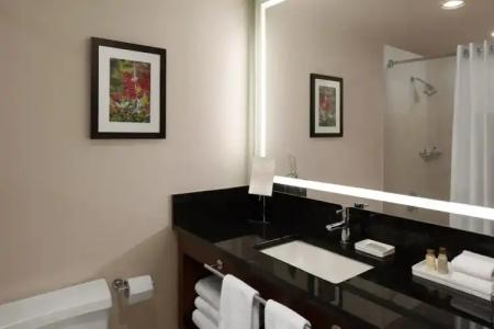 Renaissance Seattle - 110